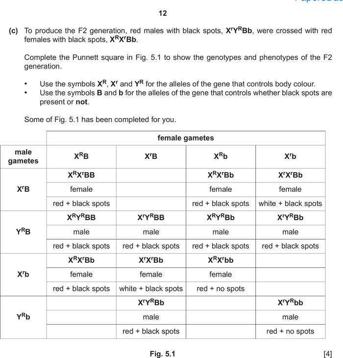 Mark scheme example: Punnett square (genetic crosses)